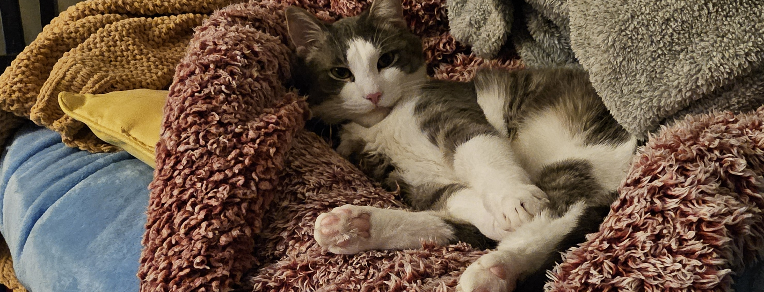 4dbe528e 0cd8 419a b129 7aff586ba38c 72f72eb6515bd3e456f9c465 full