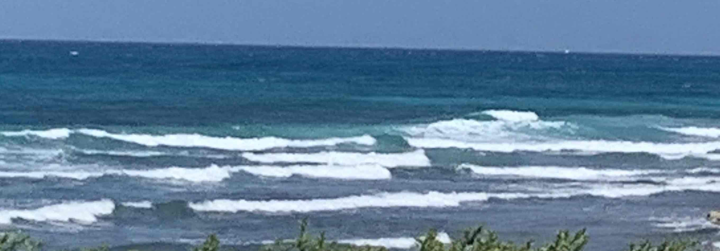 8e92ee66 1f67 4303 95d8 d64398cec483