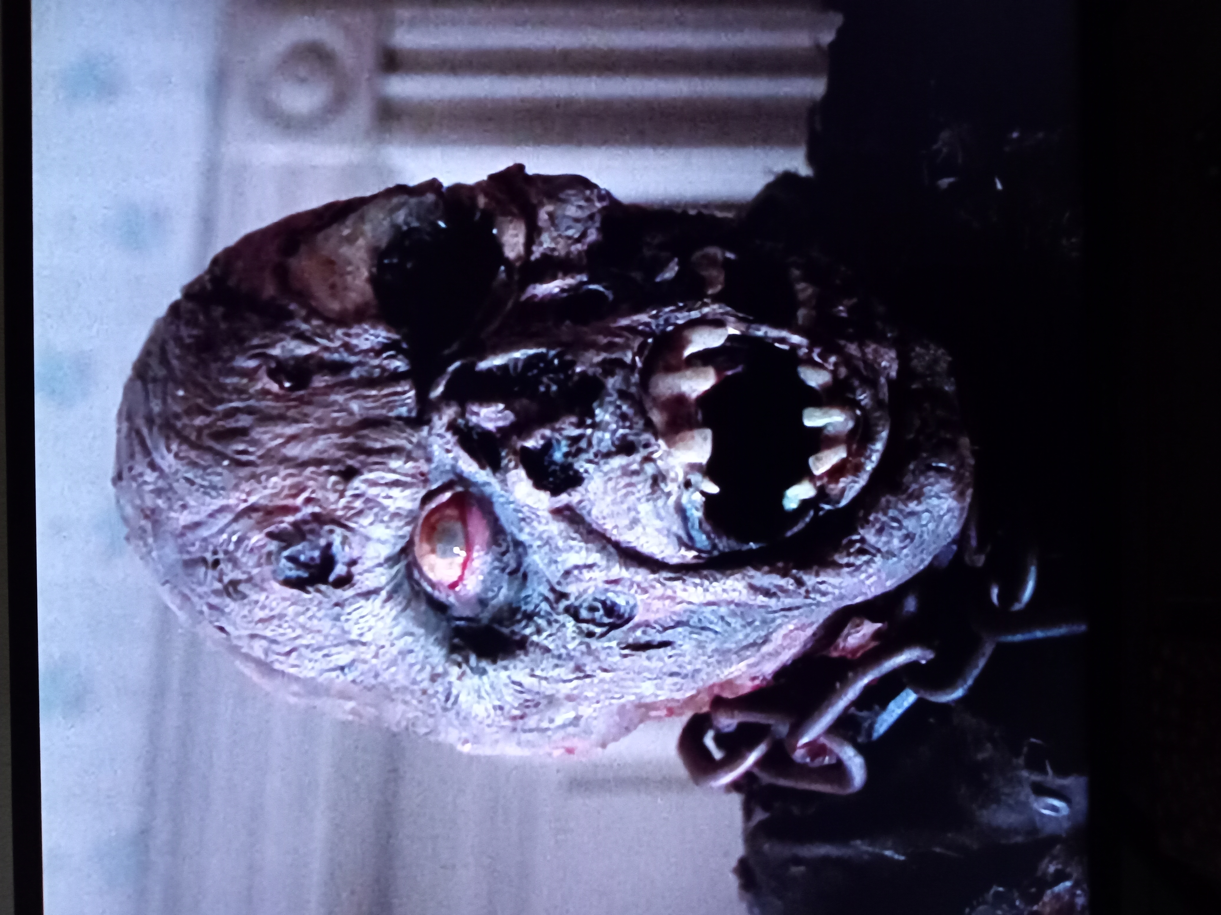 Img 20230308 111822329 1723606215 full